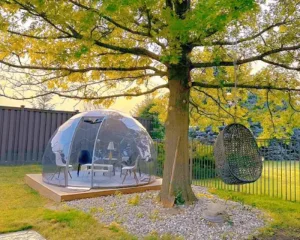 Garden Igloo Dome Cost