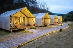 Safari Tent Cost