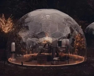 buying igloo dome for your backyard